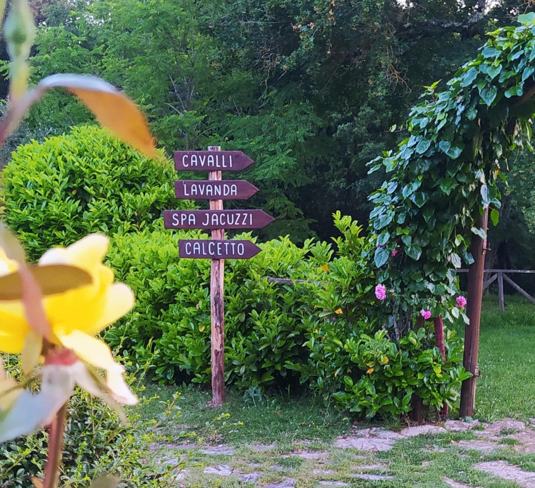 Agriturismo Podere Poggiarone Rapolano Terme Extérieur photo